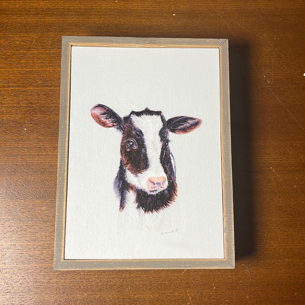 Brett Blumenthal baby cow portrait